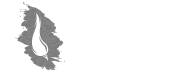 spickove chilli